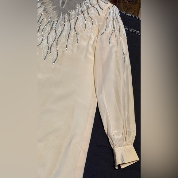 ❤️ New STUNNING ARGENTI NOTTE SILK TUNIC DRESS. Hand Beaded. Lined. Size: 6. - Picture 9 of 16